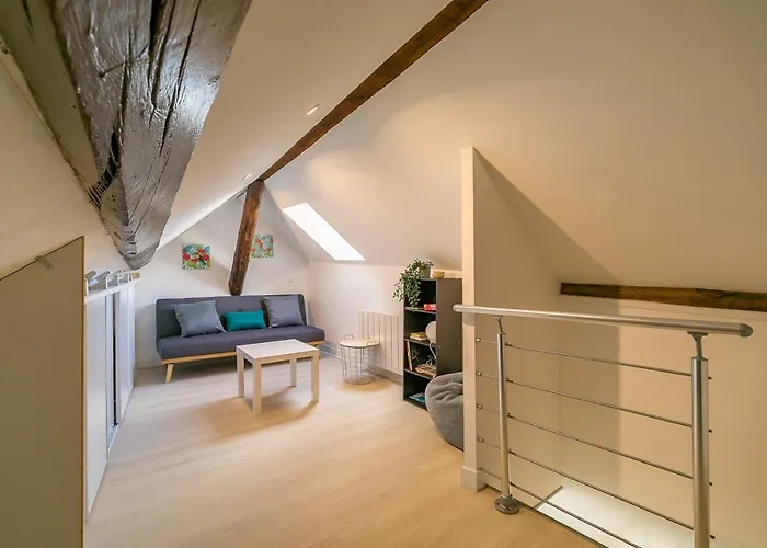 Appartement Le Godrans, En Plein Centre De Dijon