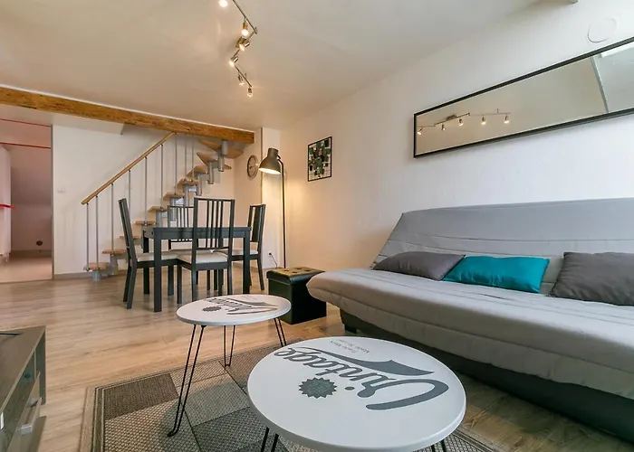 Appartement Le Godrans, En Plein Centre De Dijon